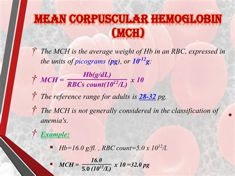 31 mchc blood test|MCHC Blood Test (Mean Corpuscular Hemoglobin Concentration).